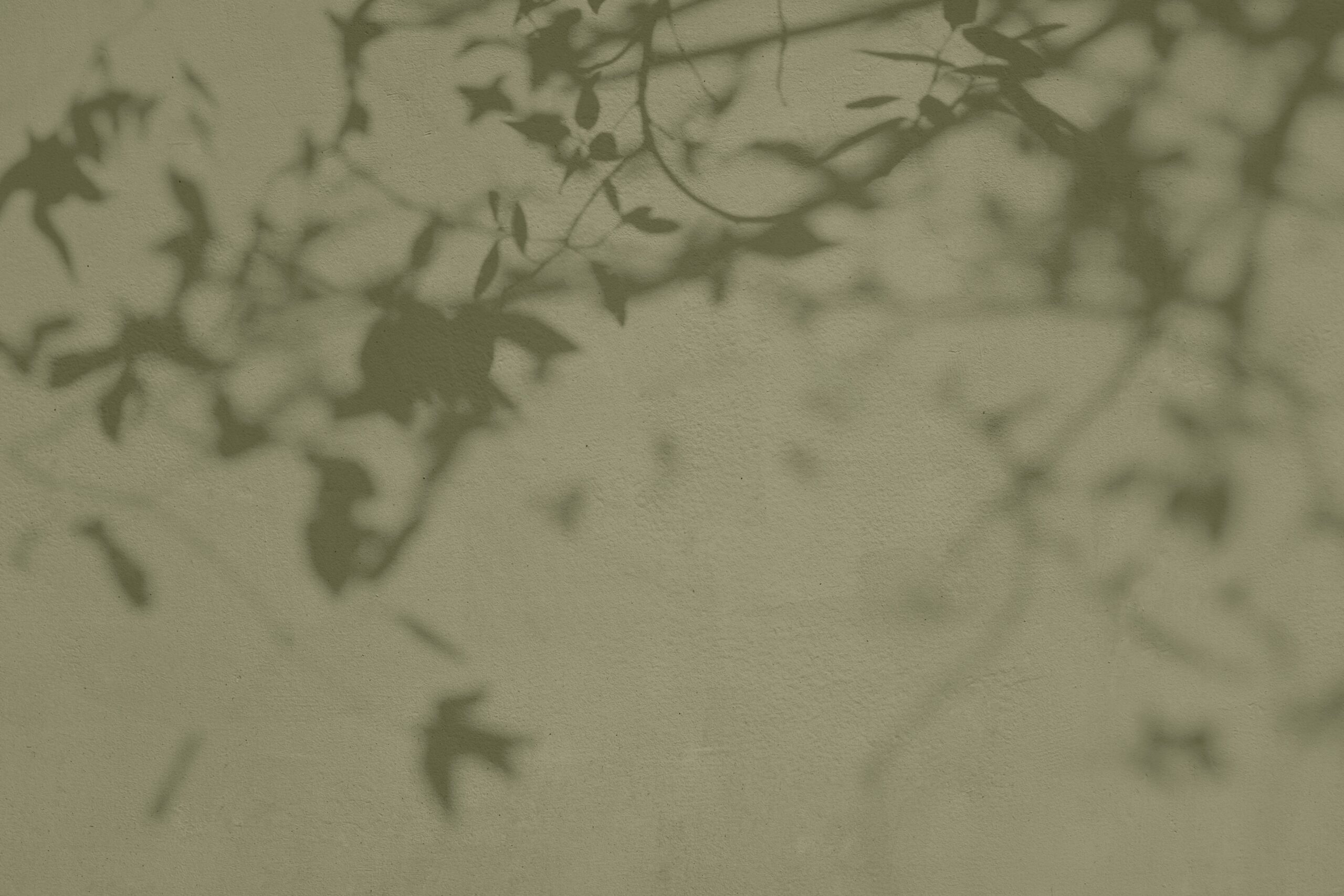 Carter-Rockbridge General Dentistry in Norcross, GA